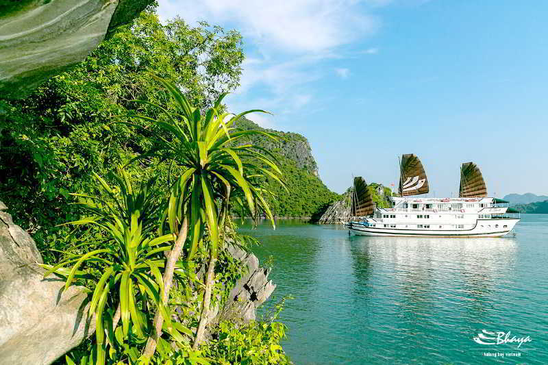 Bhaya Classic Cruises Χα Λονγκ Εξωτερικό φωτογραφία